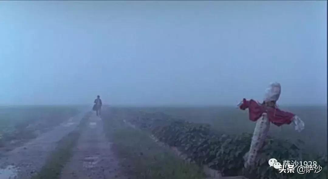 韩国电影杀人回忆元凶,杀人回忆韩国真正凶手