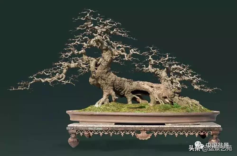 鏈存爲寰楀鐩嗘櫙,椤剁骇鏈存爲鐩嗘櫙娆h祻