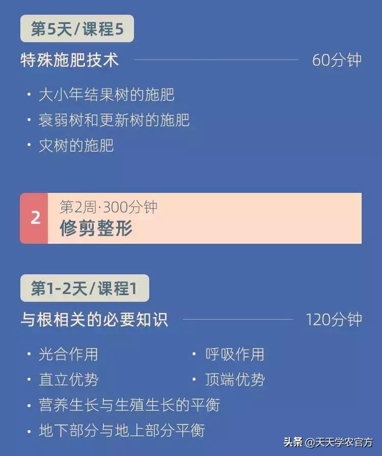 黄龙病使柑橘退化,柑橘黄龙病产业调整指导意见