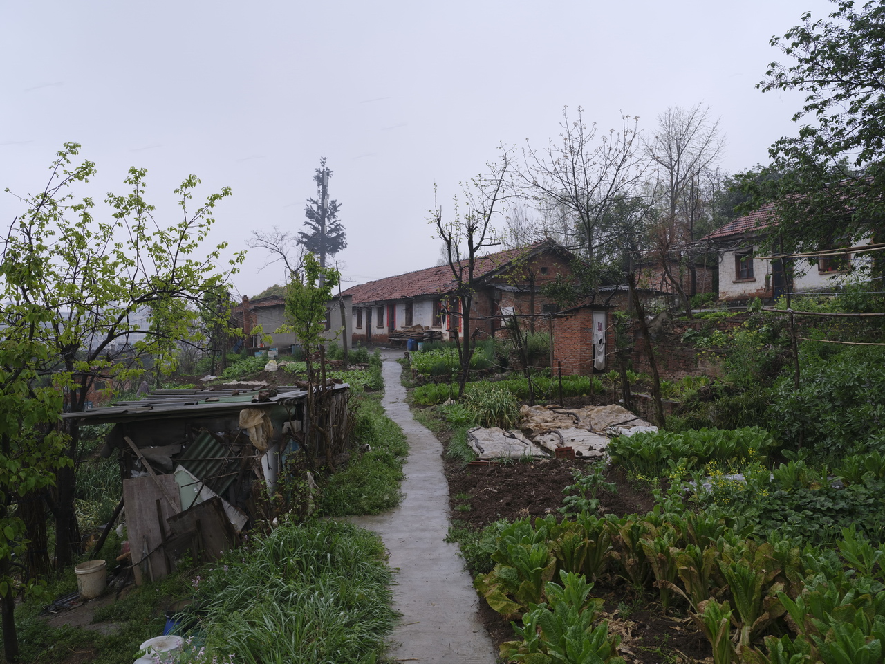 湖北三线536厂,三线厂汉丹机械厂