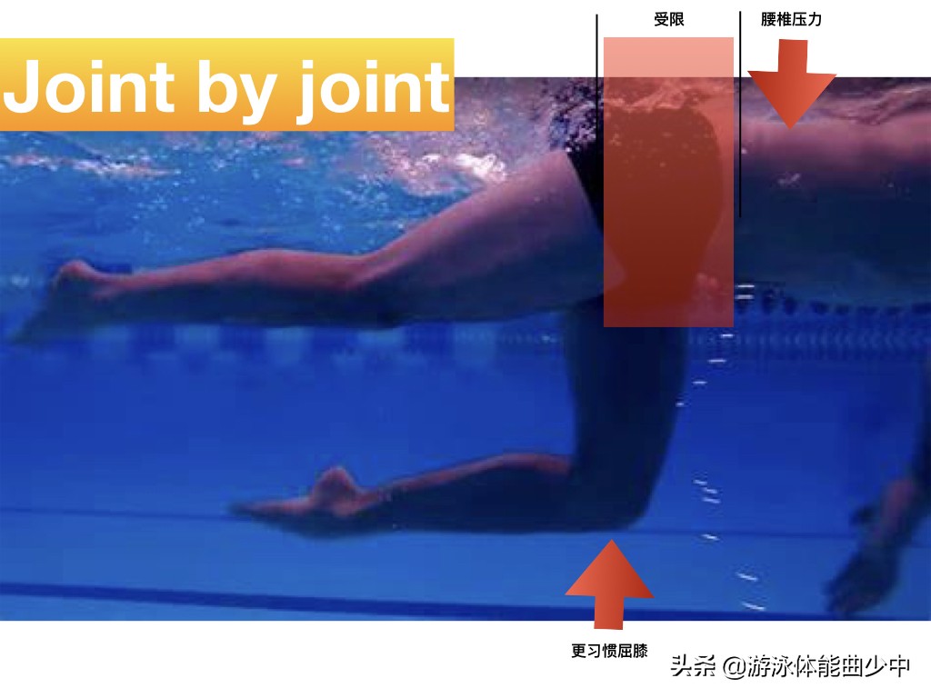 浮板自由泳腿抬不起头的问题不只你有，学习点新知识把它看透解决