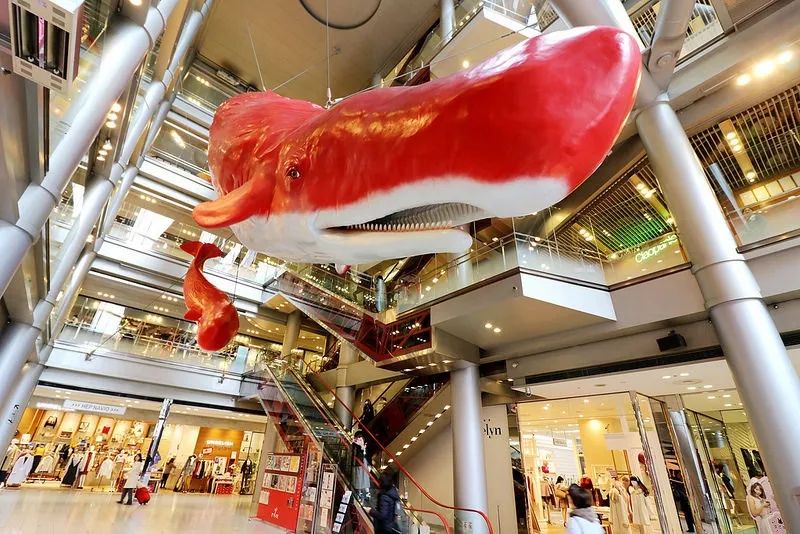 大阪买银座精华,大阪买便宜的东西