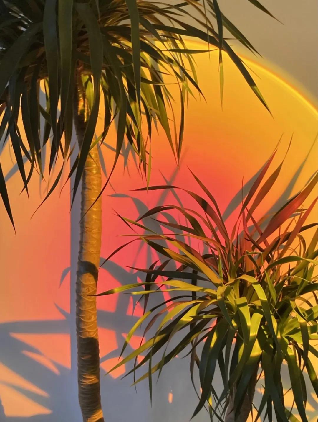 三招教你找到上镜脸,上镜脸好看的秘诀有哪些