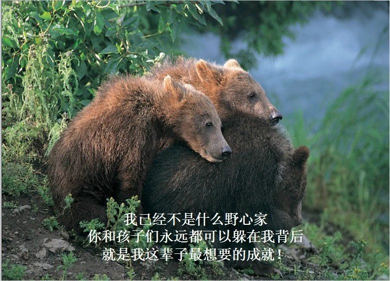 我只想说声爱你,只想再爱你一次