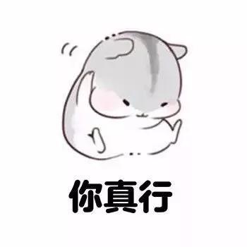 各个皆风景！红凤巢玉如意……吸睛的二青会场馆！距开幕式还有29天……