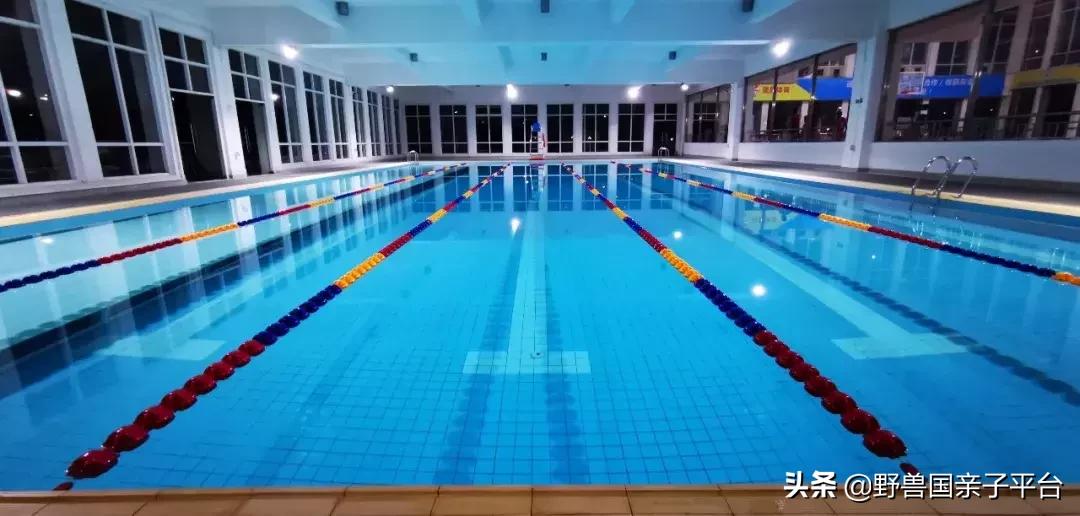 东莞哪里适合小孩子游泳冬天,暑假最适合学习游泳的地方