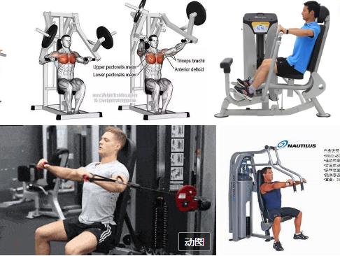 杠铃卧推和哑铃哪个更好拉伸胸肌,练胸肌最好用器械还是哑铃