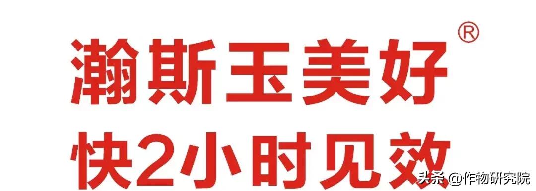 飞防高浓度,飞防7天效果