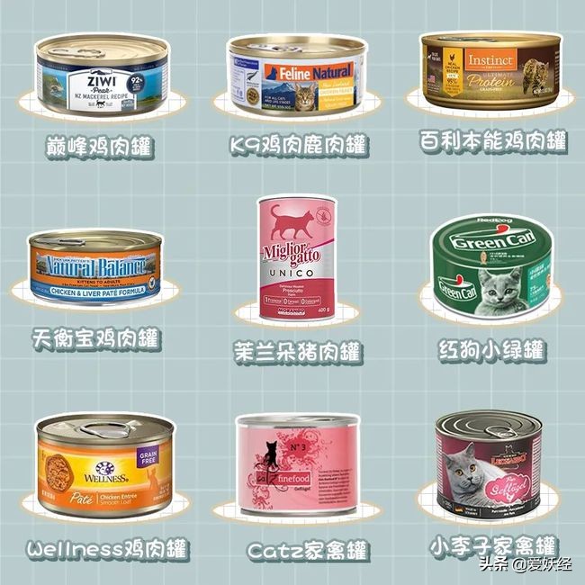 13款热门猫咪主食罐测评红黑榜,猫咪主食罐十大排名