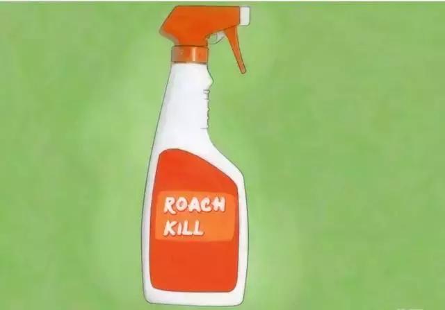 目前最有效的灭蟑螂方法,四种灭蟑螂的方法哪种更适合你