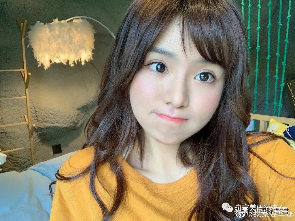 北京小公主靠吸猫血成百万大V，直播整容、大照骗、2年养死3只猫