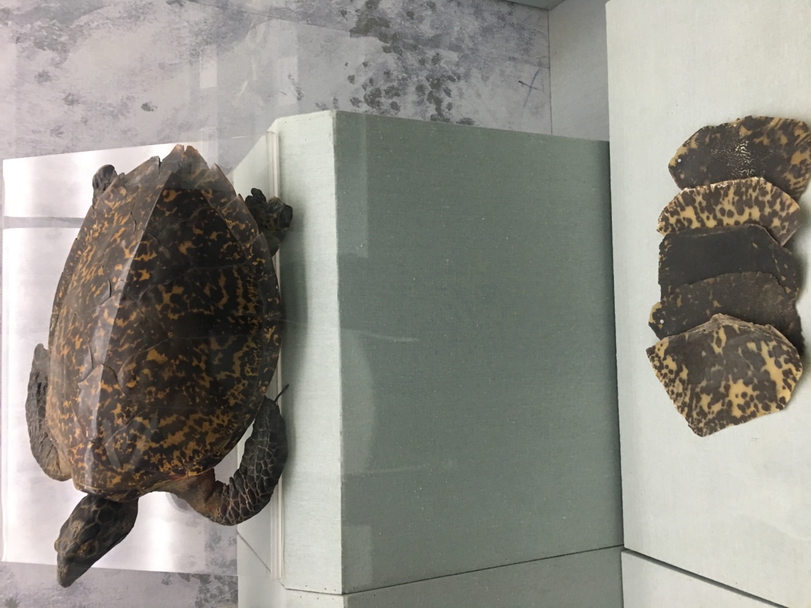 孙思邈的尸体之谜,药王孙思邈一些奇怪理论