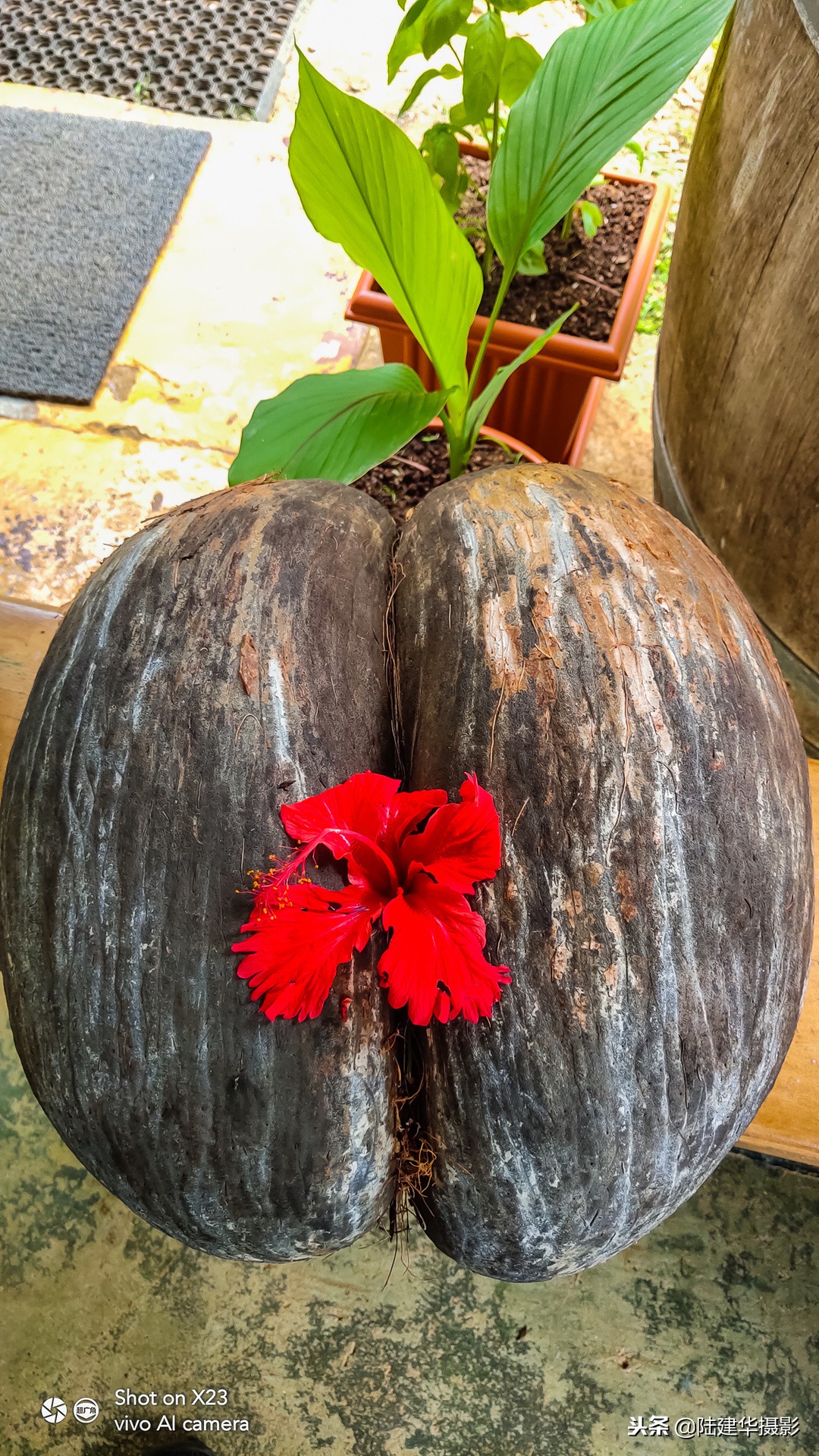 塞舌尔克里奥尔人,人间伊甸园云赏奢华度假地塞舌尔