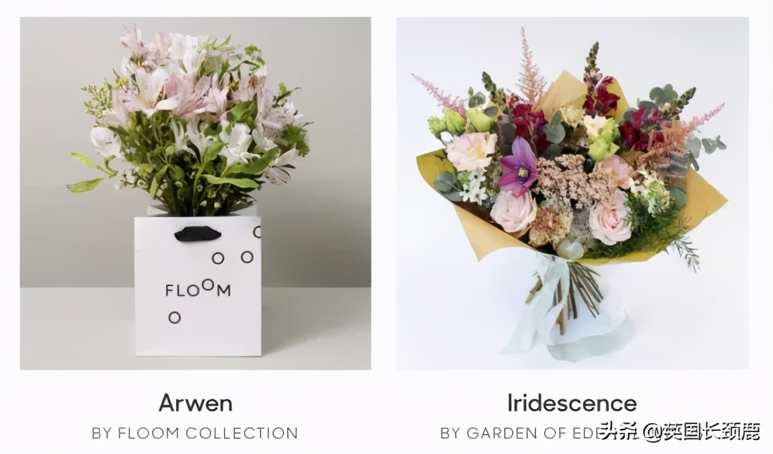 情人节来了怎么少的了fafa？英国鲜花速递服务大盘点：浪漫满分