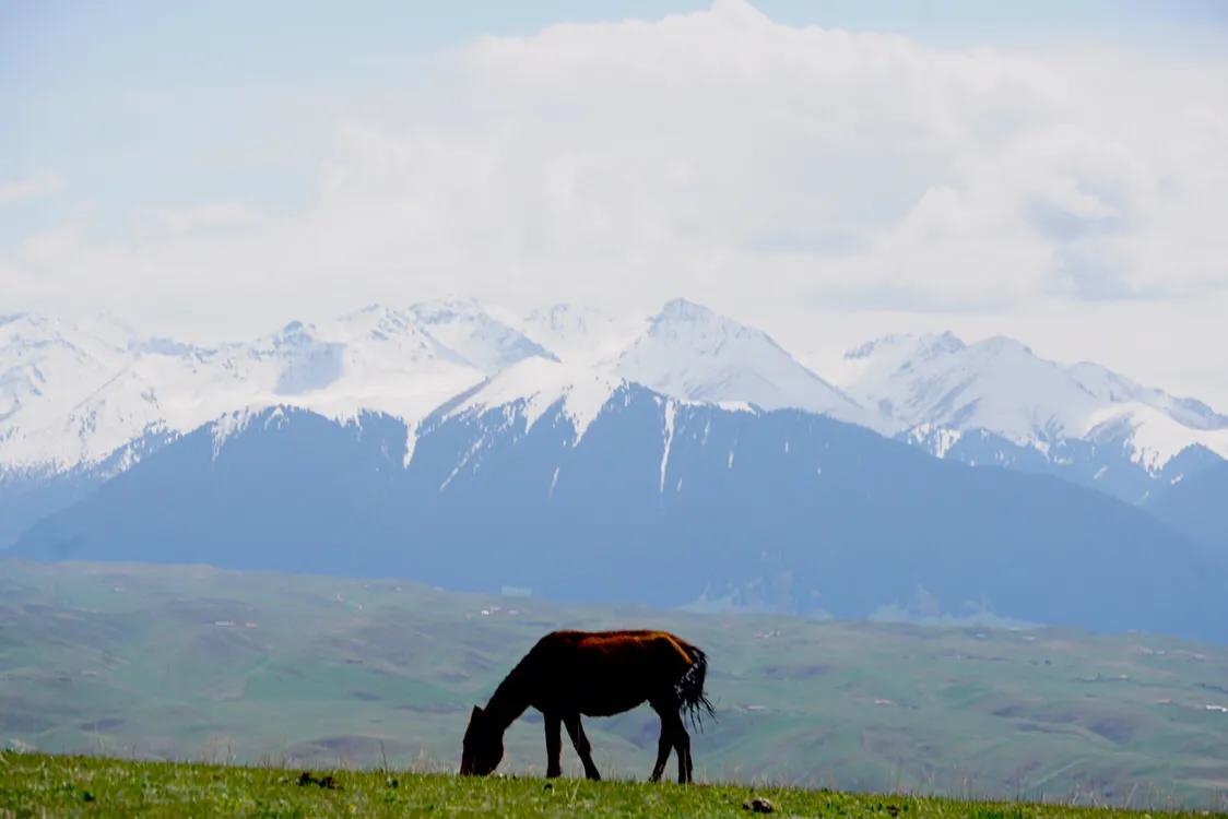 占中国六分之一地盘的*疆新**，12个5A景区N个世界遗产你走过多少？