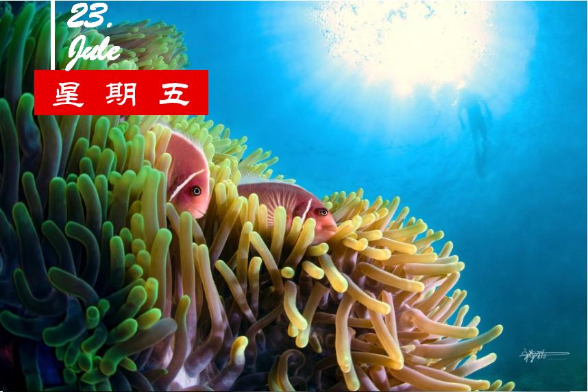 鸿星尔克捐款5000万事件全程,鸿星尔克为郑州捐款5000万