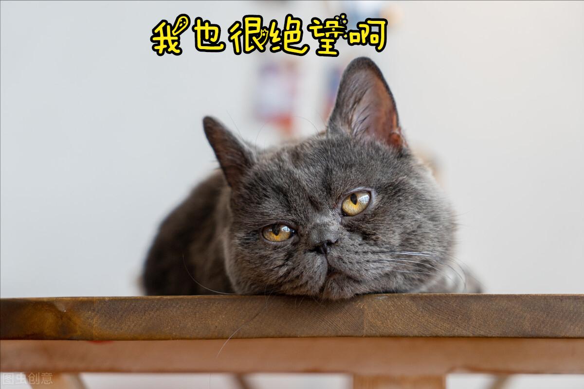 一针疗法高树中落枕,落枕针灸内关穴一针见效