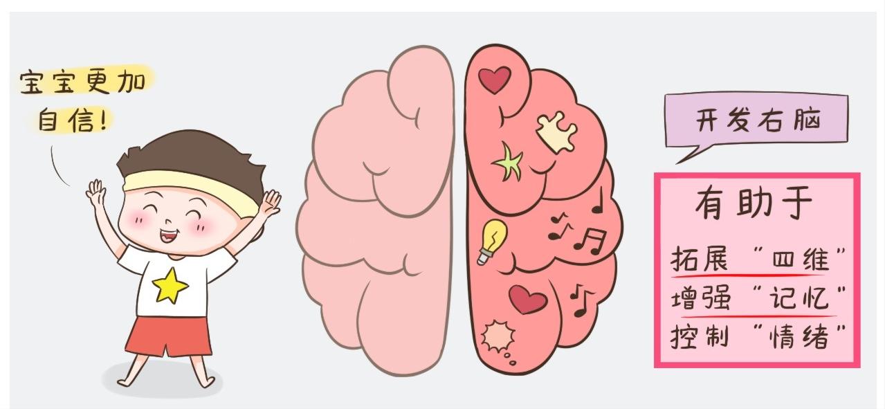 右脑开发可以提高孩子智商吗,右脑发达的孩子该如何培养