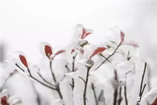 黄山旅游必去攻略,黄山旅游攻略必去景点大全