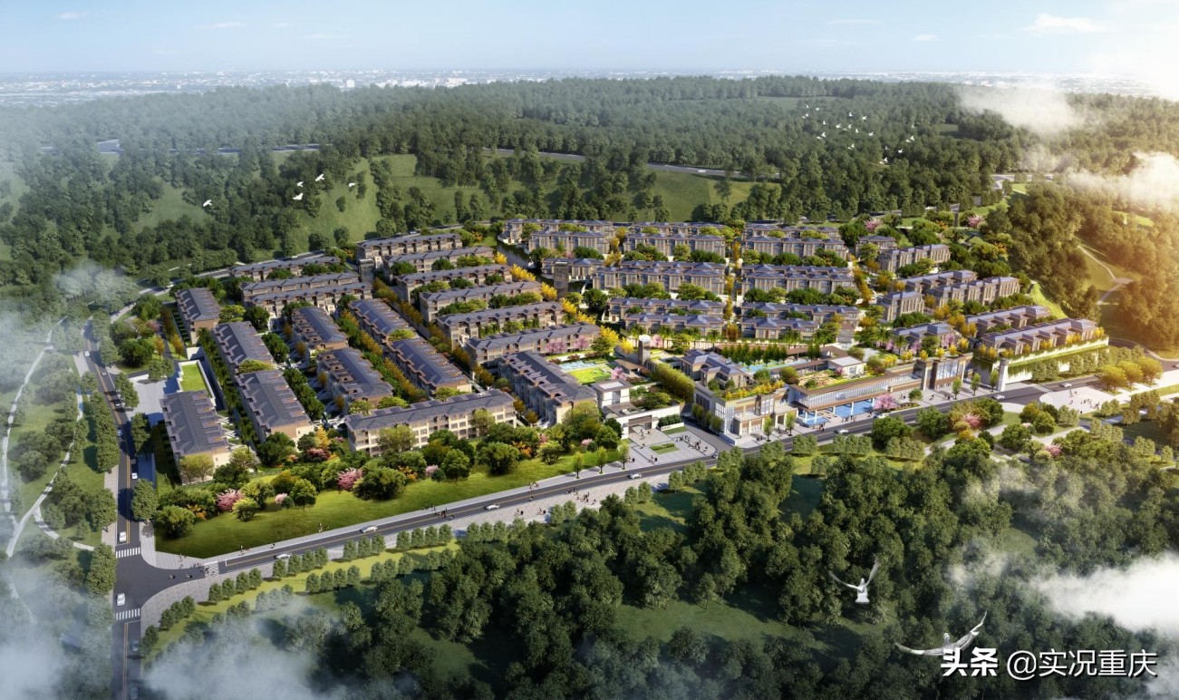 涓轰粈涔堝崡灞卞彂灞曢偅涔堝揩,琚綆浼扮殑鍗楀北鍩庡競