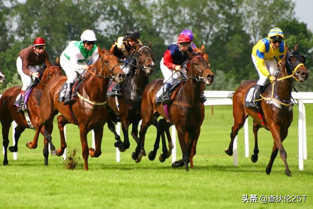 斯里兰卡努沃埃利耶小镇,斯里兰卡努沃勒埃利耶茶厂