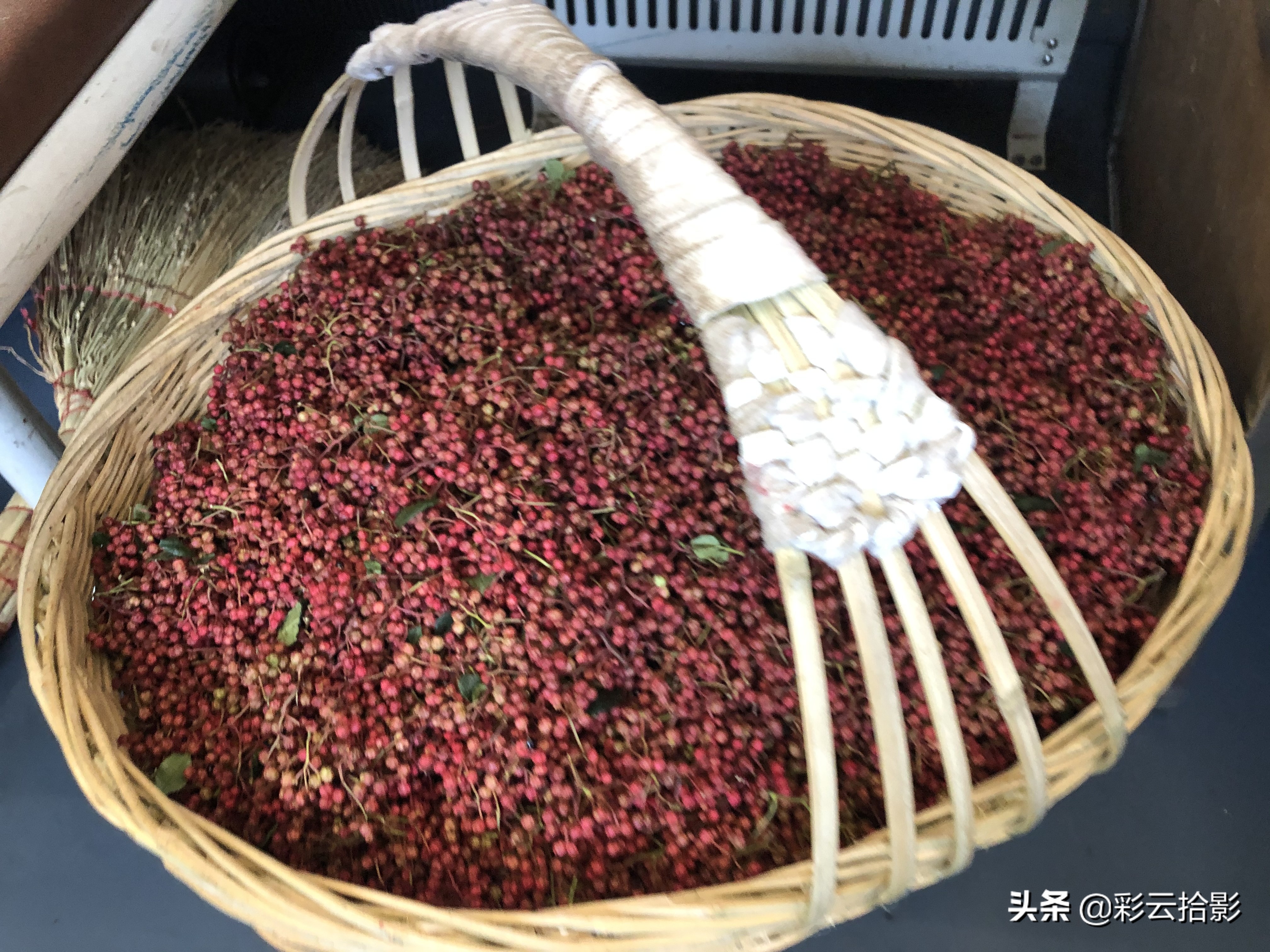 坐秦岭小慢车在哪下车,从宝鸡自驾去广元