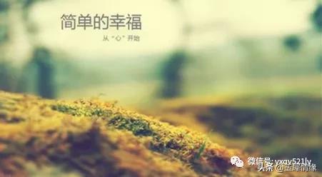 简单的幸福说说文案,简单的幸福句子