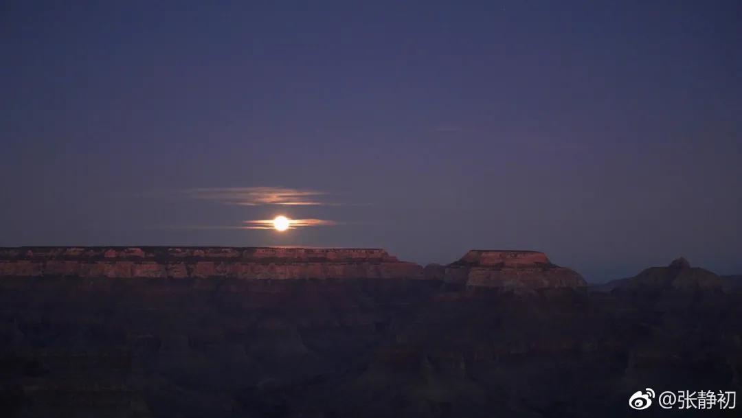消失6年后,张静初单身生活首曝光!独居大House,与满屋破烂作伴