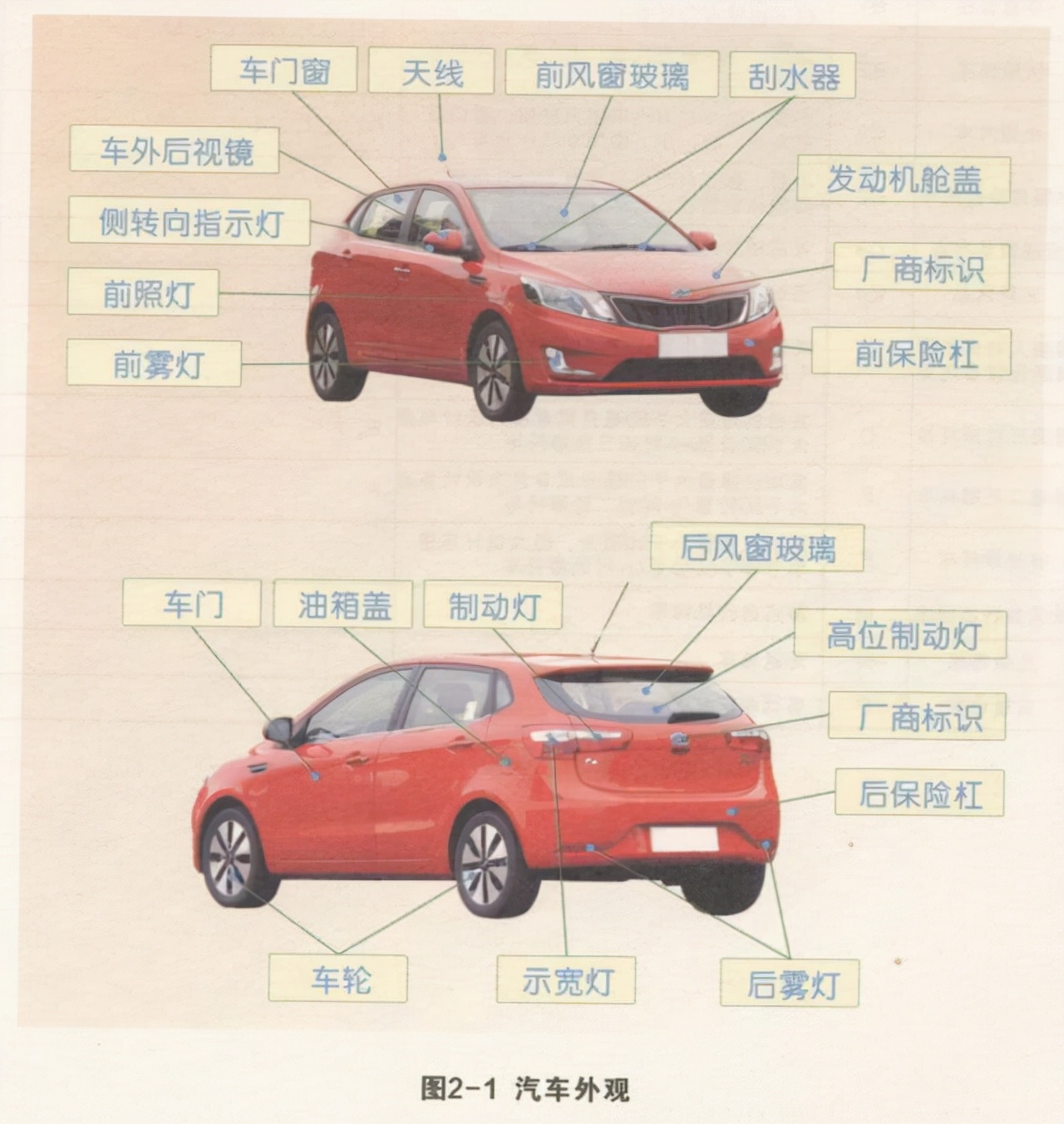 考过了驾照还是不敢开车，上路就害怕，老司机：我教你4个方法