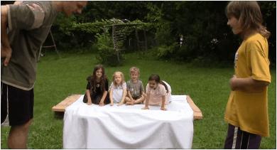 鸽子为什么这么大？懂数学的给出了答案