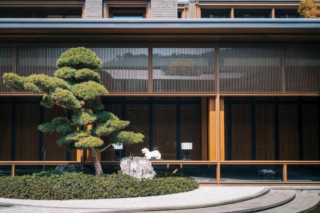 杭州攻略住宿,杭州住一个月攻略