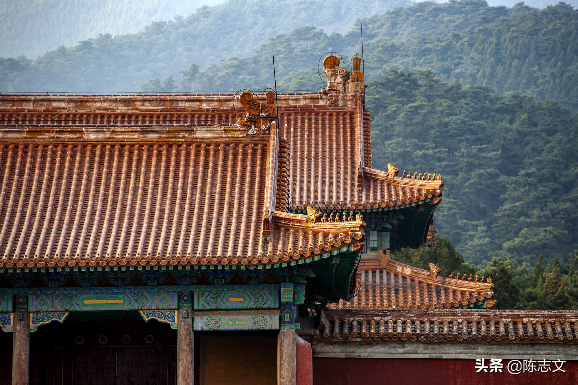 大清皇后娘娘竟然是江南名伎？太狗血了吧