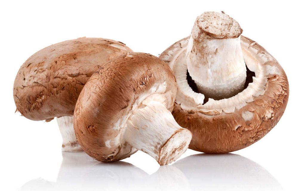 开春腿筋骨疼,开春筋骨疼