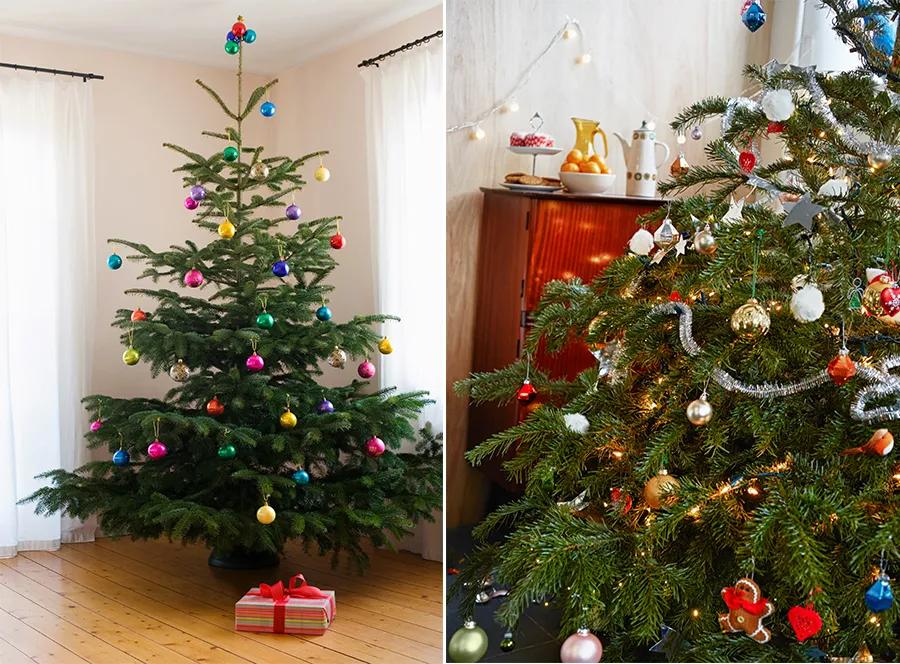 圣诞节装饰怎么画简单又漂亮,圣诞节图片儿童画简单又漂亮