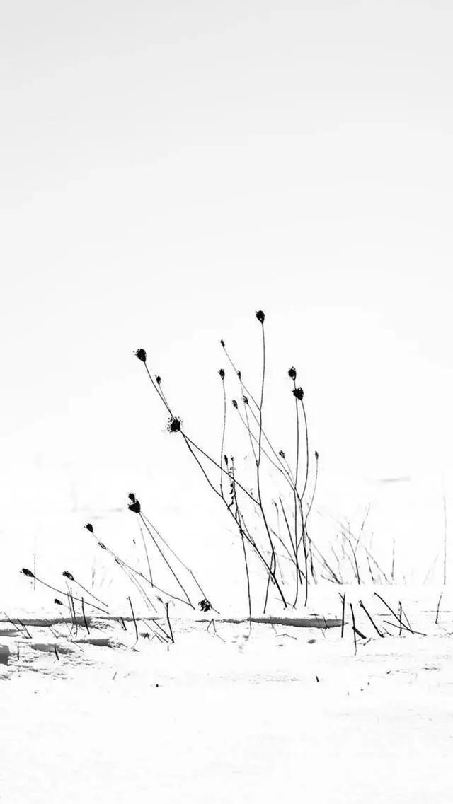 抖音经典语录短句朋友圈,抖音经典语录唯美句子短句