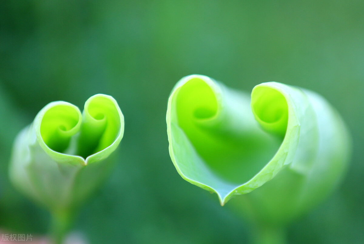 零基础做什么副业比较好赚钱快,没技术没钱干什么副业赚钱