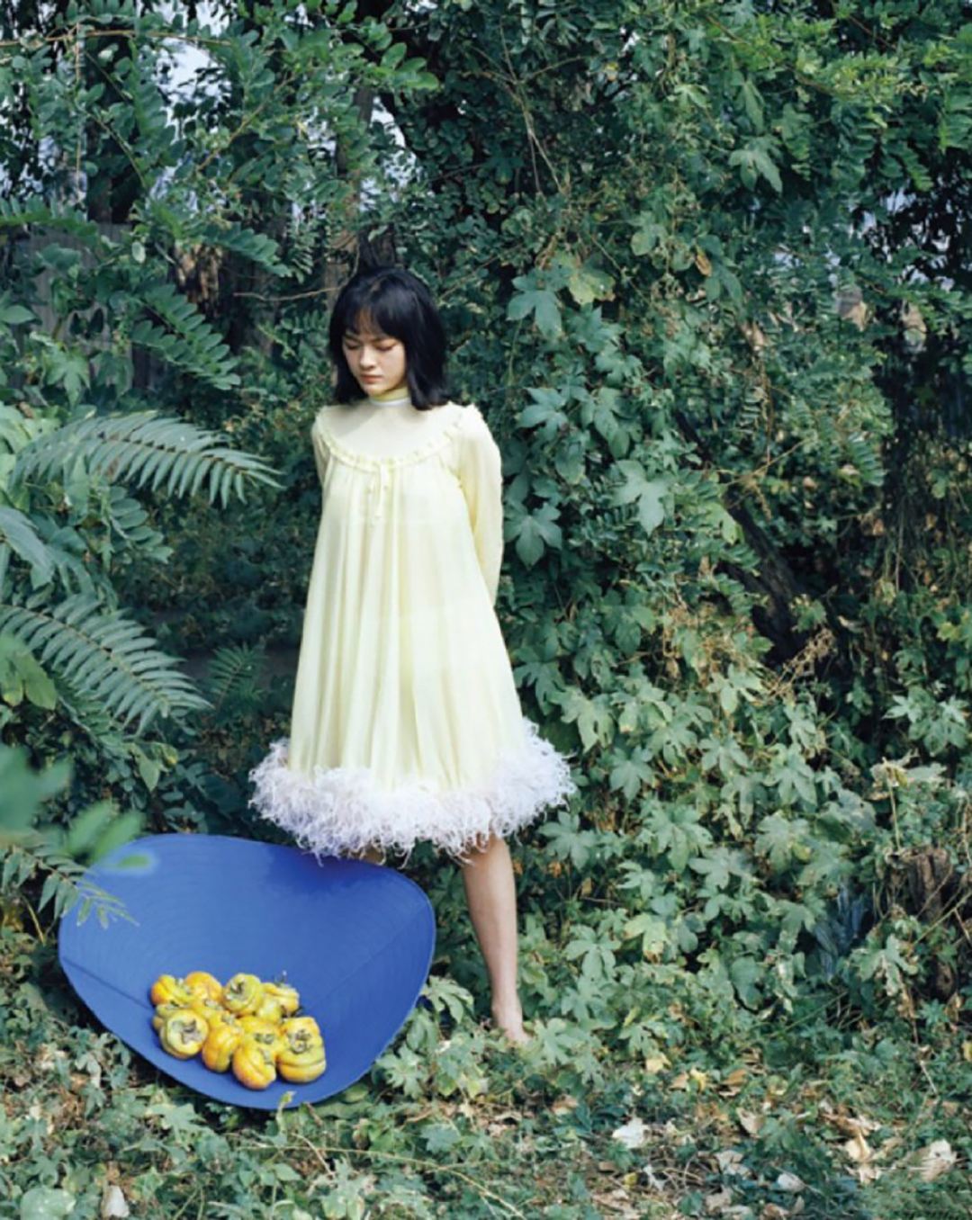 娱乐圈6位当红小花大PK，谁是你心中的最佳MiuMiu少女？