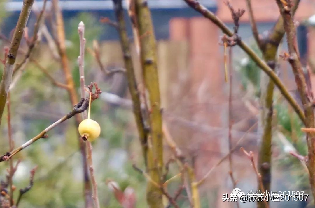 城市漫步,城市漫步郑州
