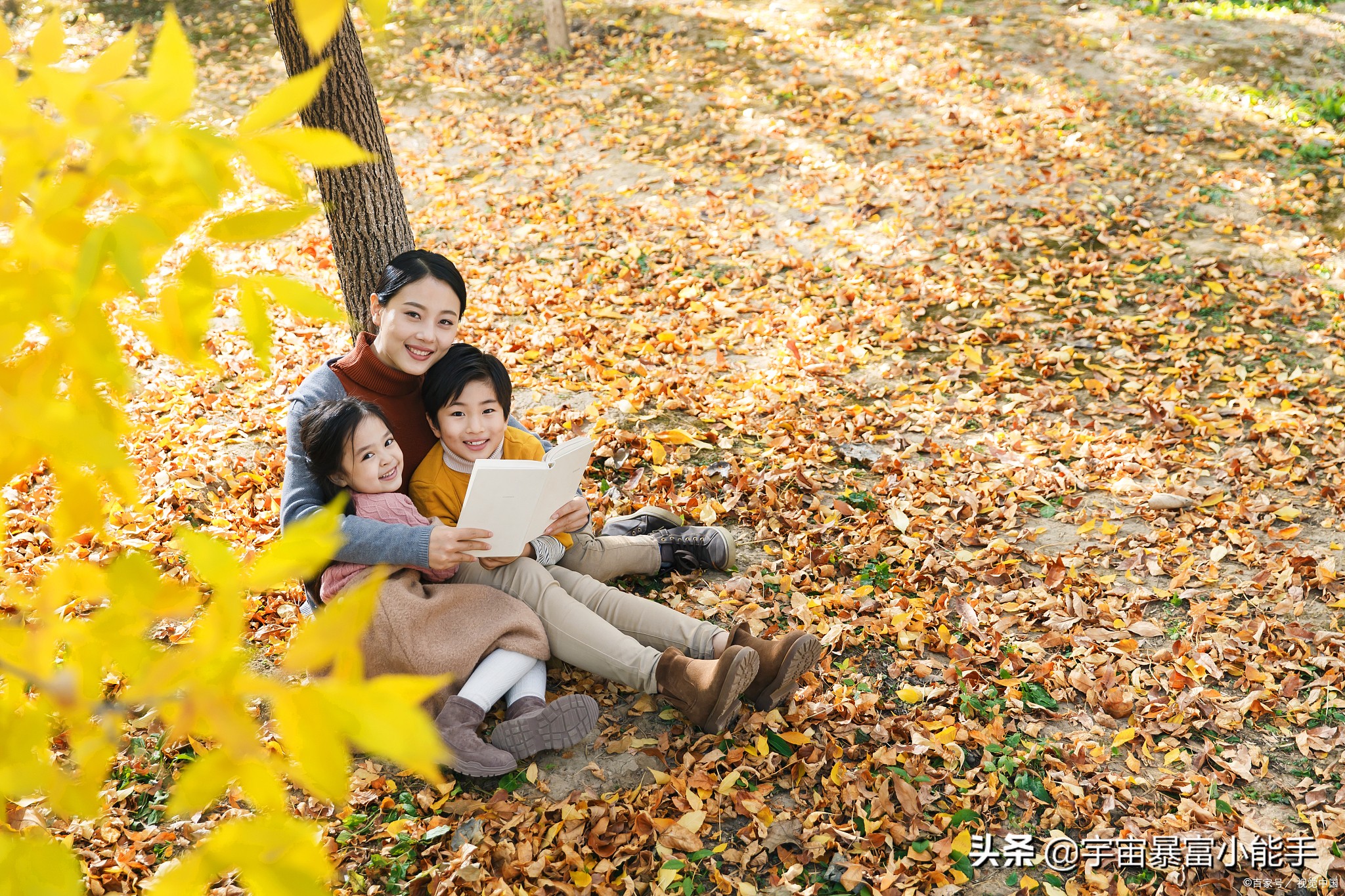 自卑人际关系怎么处理,怎样才能摆脱自卑
