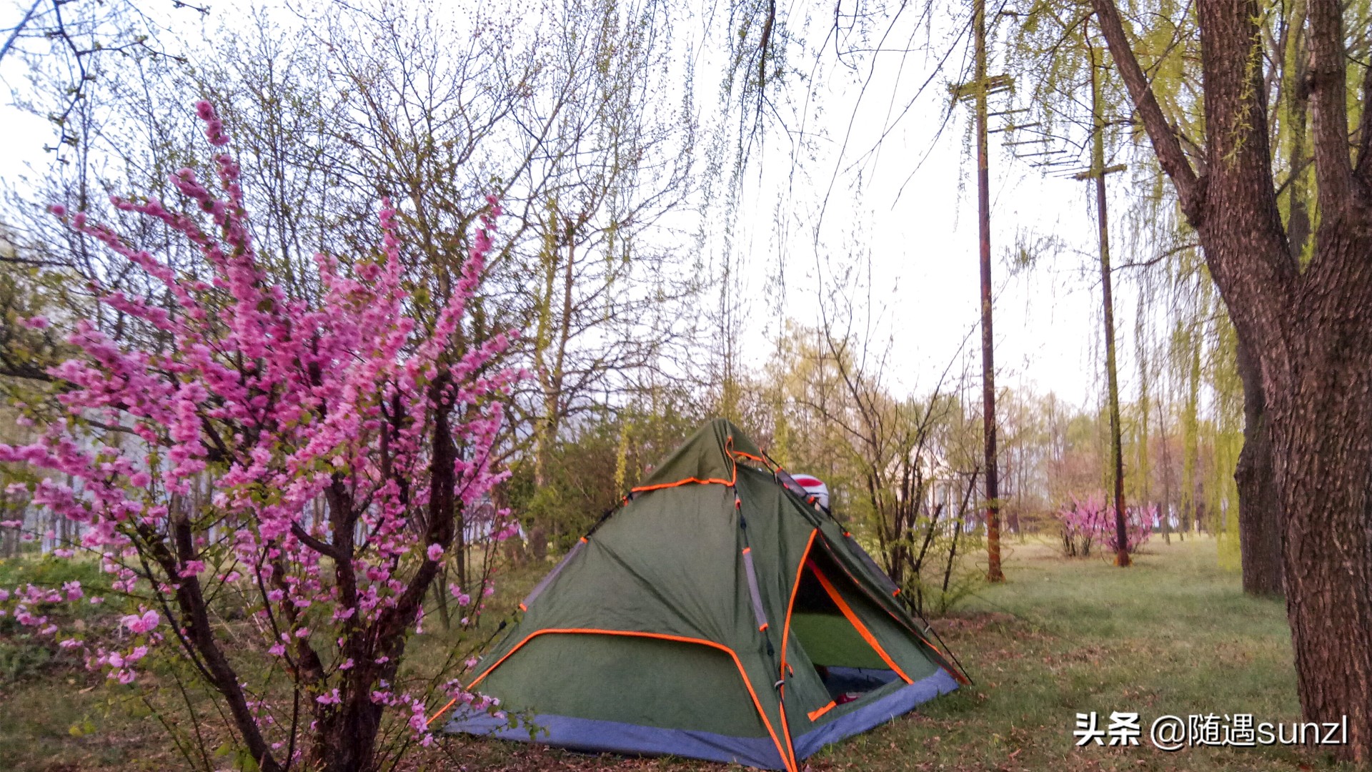 丹东宽甸桃花旅游攻略,丹东宽甸桃花岛旅游攻略自驾