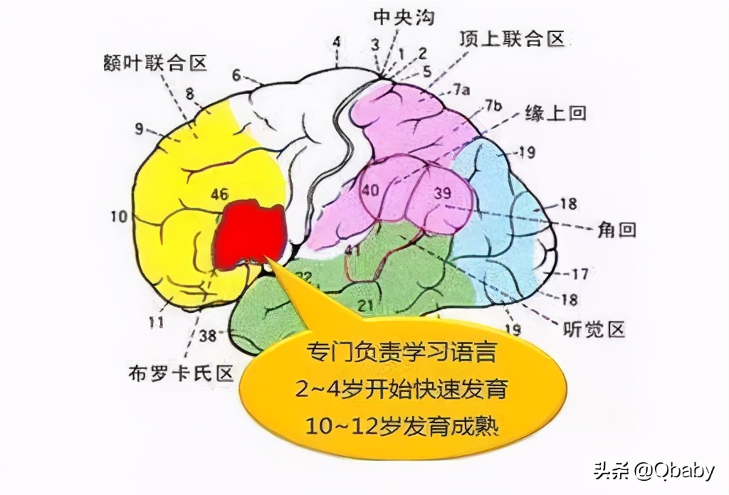 早教3-6岁免费教学软件,陪伴孩子智能学习机