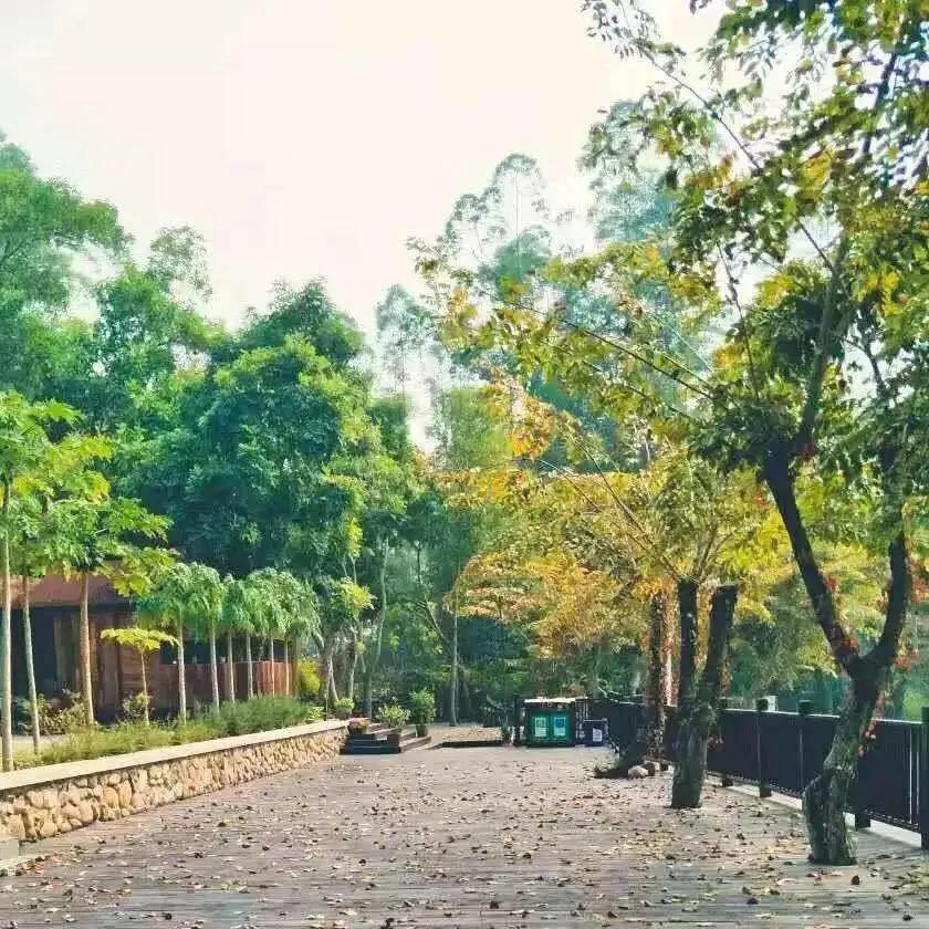 厦门夏令营走进大自然活动,厦门广电研学夏令营