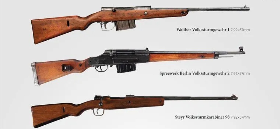 英国枪史图册全篇,德国枪图片