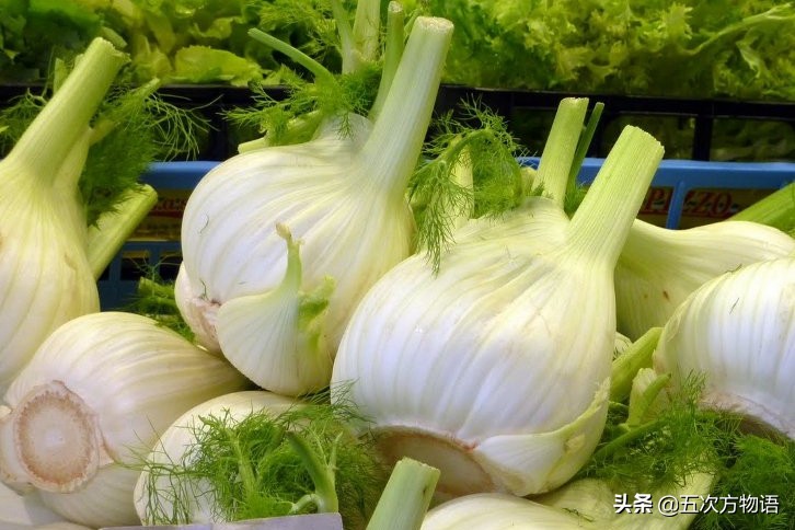 欧洲十大奇怪蔬菜 (欧洲冷门蔬菜)