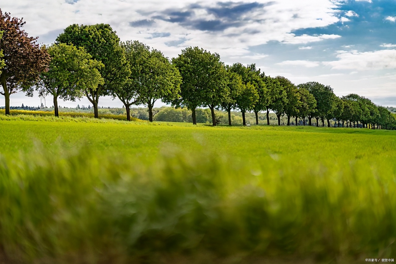 成长感悟类作文中考800字怎么写,小学生中考之后的感想作文怎么写