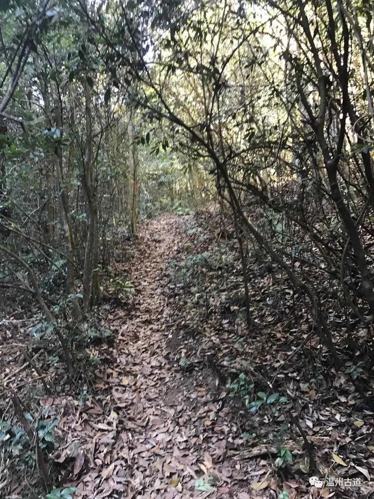 探秘神秘仙人洞,探幽寻秘之山水美景