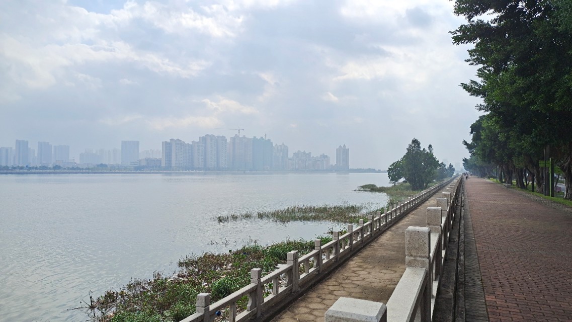 珠海井岸黄楊河湿地公园,20200927