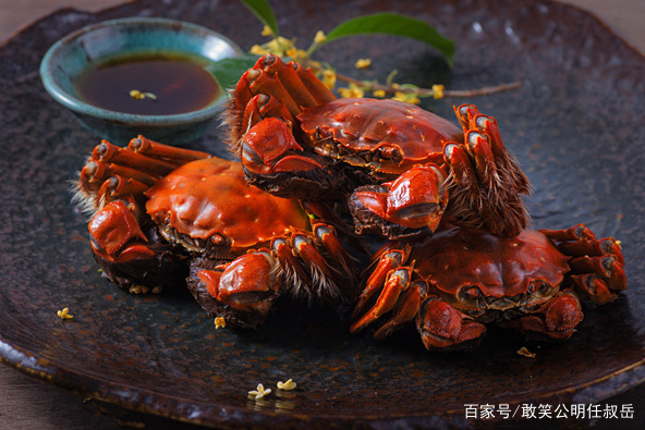 阳澄湖大闸蟹和螃蟹有什么区别,大闸蟹为什么阳澄湖出名