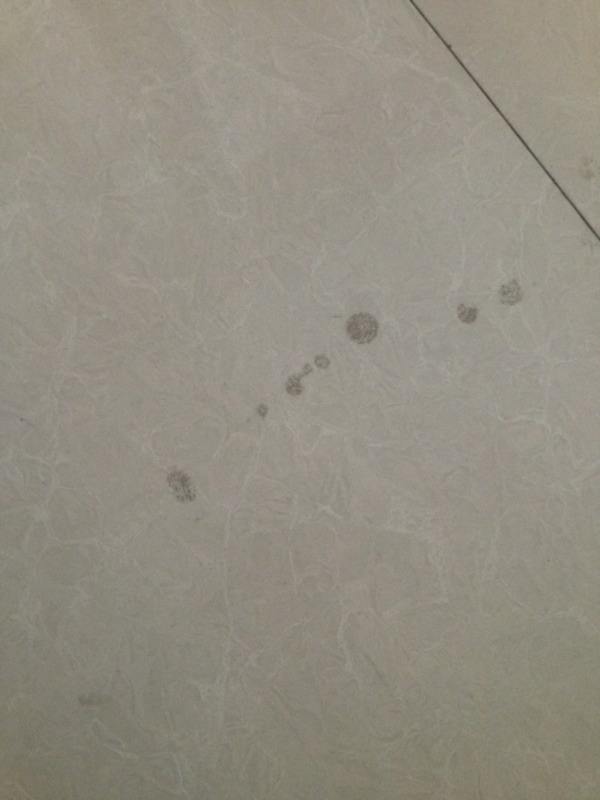 木地板污迹怎么去除,地板顽固污迹