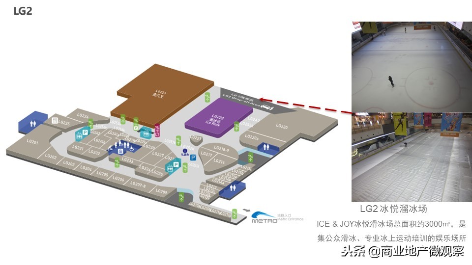 在成都看ifs熊猫,成都ifs上的爬墙大熊猫